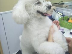 -惠康宠物医院(华能路店)