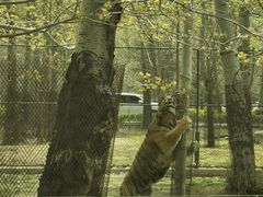 -秦皇岛野生动物园
