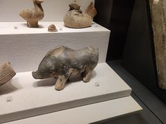 -四川大学博物馆