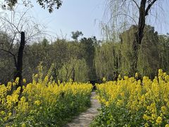 -阿嫂印象·民间江湖菜(大学城店)