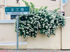 -不舍昼夜咖啡馆