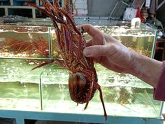 -华威西营里农产品批发市场