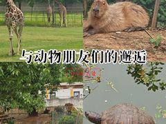 -合肥野生动物园
