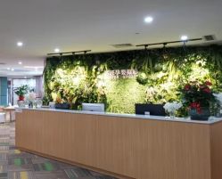 -小熊维尼高端孕婴摄影(清湖金銮店)