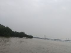 -宝安西湾红树林湿地公园