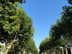 -同济大学(嘉定校区)