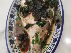 榄角蒸边鱼-明园茶餐厅(沙头角店)