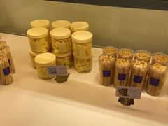 -蒲公英(五里店)