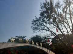 -云溪植物园