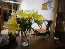 -NOMA造型 Salon