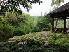 -杭州花家山庄