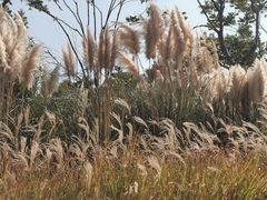-上海山野camping·户外天幕烧烤·团建拓展营地