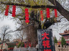 -大槐树寻根祭祖园