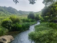 -中国茶叶博物馆(双峰馆区)