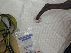 -北京观赏动物医院·24小时大型综合·猫专科·异宠专科