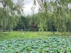 -莫子山公园