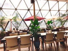 露天位-巴别塔法餐舍(朝阳店)