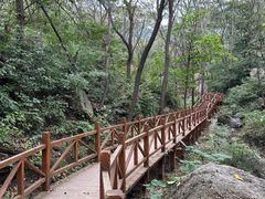 -大岭沟猕猴桃谷风景区
