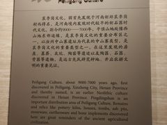 -平顶山博物馆