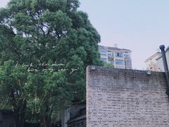 -几个木匠匠人厨房