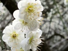 -北寺塔