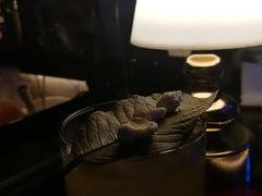 -戏迷-成都群光君悦酒店
