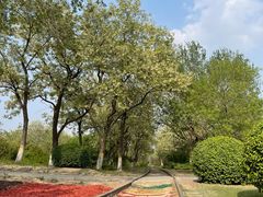 -永定河休闲森林公园