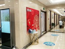 -碧莲盛·不剃发植发