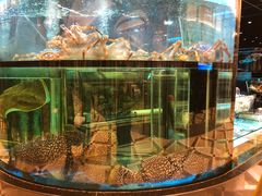 大堂-金翠皇宫粤菜·点心·海鲜(科技园店)