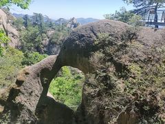 -六里坪国家森林公园