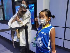 -侏罗纪世界电影特展(广州站)