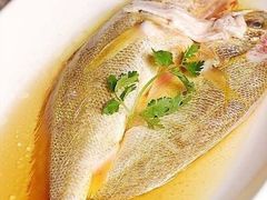 清蒸黄鱼-健眺小海鲜(临海后山店)