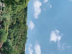 -广州白江湖森林公园