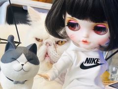 -平行世界·猫咖(首经贸店)