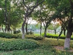 -海珠湖公园