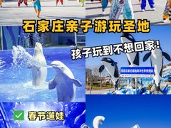 -石家庄极地海洋世界