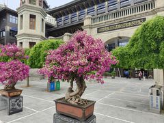 -西宁市东关清真大寺
