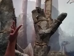 -兴隆溶洞