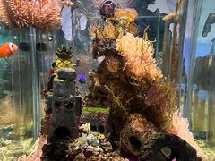 -太平洋海底世界