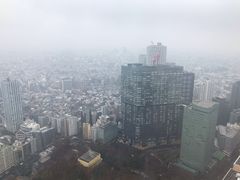 -东京都厅舍