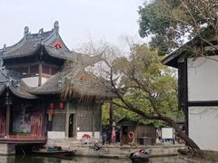 -鲁镇
