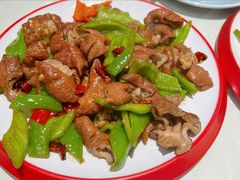 尖椒肥肠-逢春菜馆天津菜(胜利路店)