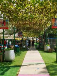 -萌宠亲子动物乐园(槐房万达店)