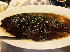 黄河大鲤鱼-商都酒店( 北京南站店)