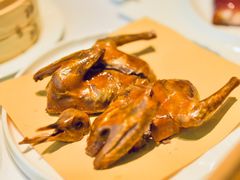 红顶金牌乳鸽-红顶食府(滨湖九号店)