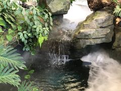 -云溪植物园