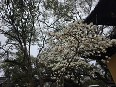 -普陀山风景名胜区-法雨禅寺