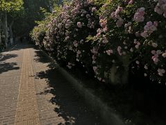 -南京航空航天大学(明故宫校区)