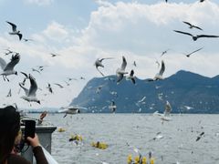 -怡得观滇餐厅·地道昆明菜·1996(海埂大坝店)