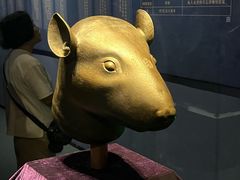 -广西壮族自治区博物馆